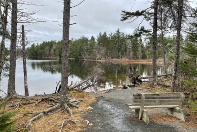 Bench along the trail with a water view.