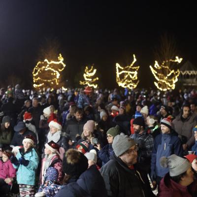 Christmas Tree Lighting